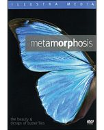 Metamorphosis