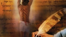 1st Quarter Bible Book Shelf