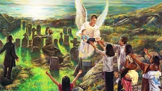 The Great Controversy